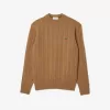Cable Knit Carded Wool Crewneck Sweater