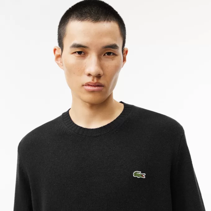 Carded Wool Crew Neck Sweater