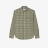 Checked Poplin Shirt