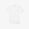 Lightweight Cotton Pima V Neck T-shirt