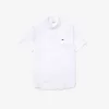 Men’s Regular Fit Premium Cotton Shirt