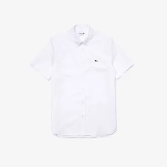 Men’s Regular Fit Premium Cotton Shirt