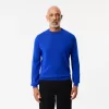 Merino Wool Crew Neck Sweater