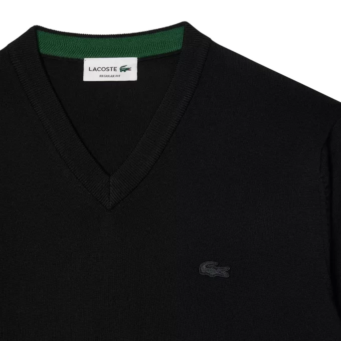 Merino Wool Monochrome V Neck Sweater