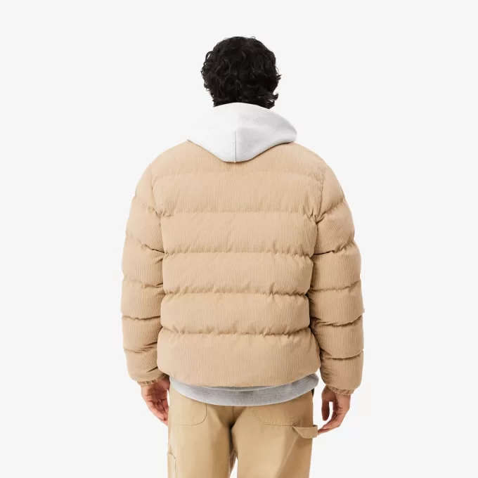 Quilted Velour Puffed Jacket