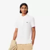 Regular Fit Cotton Polo Shirt
