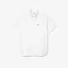 Regular Fit Short Sleeved Oxford Shirt