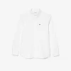 Regular fit cotton Oxford shirt Regular fit cotton Oxford shirt