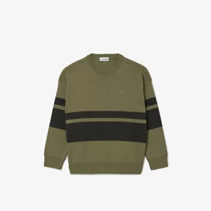 Striped Cotton and Wool Sweater