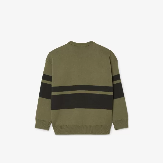 Striped Cotton and Wool Sweater
